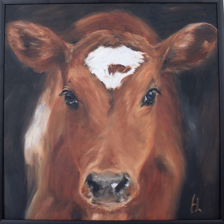 Hiske Landman, Malerei, Original, ‚liegende Kuh‘ 100 x 70